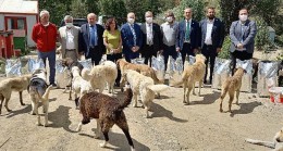 CHP, Sokak Hayvanlarının Sorunlarını Gündeme Getirdi