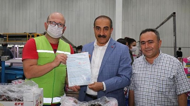 Kemalpaşa’da kiraz ve yaş meyve sebze ihracatına inspektör desteği