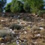 Bingöl’de çöp sorunu doğal güzelliği tehdit ediyor